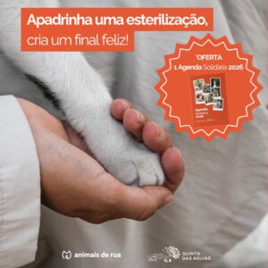 Apadrinhar uma esterilização