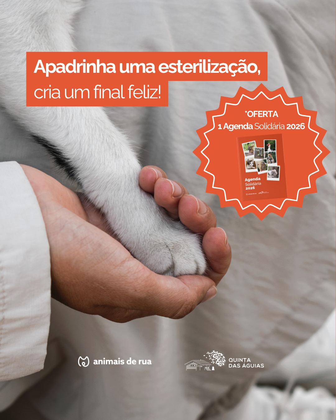 Apadrinhar uma esterilização