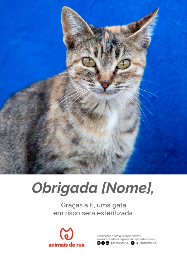 Apadrinhar uma esterilização