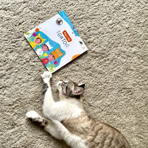 Livro Infantil Aqui há Gato!