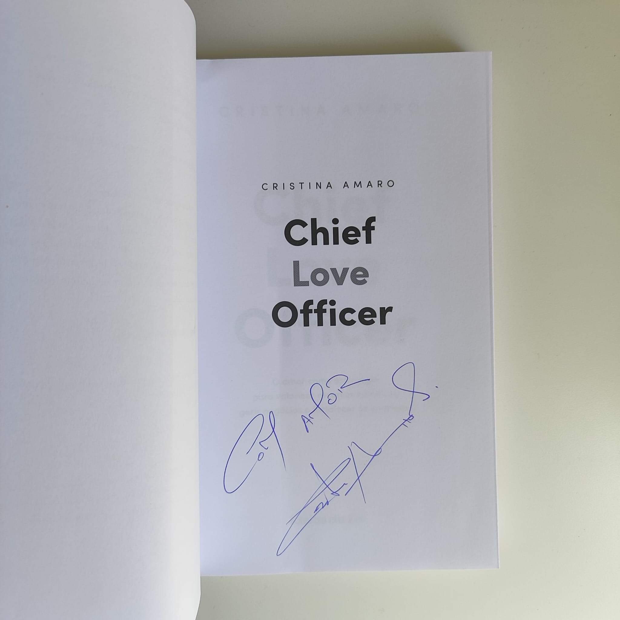 Chief Love Officer, de Cristina Amaro (via Porto Editora)
