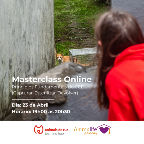4ª Masterclass Online Animais de Rua