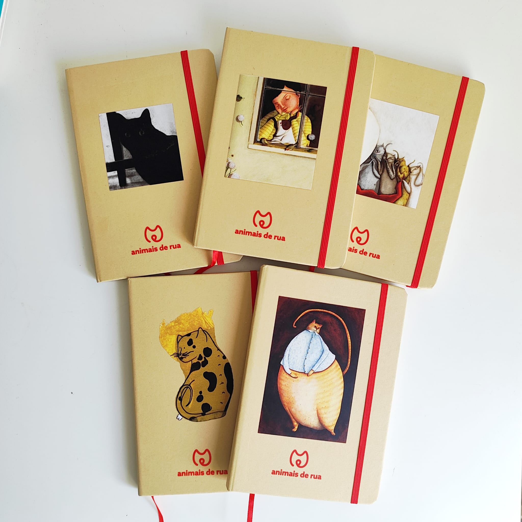 Caderno ilustração