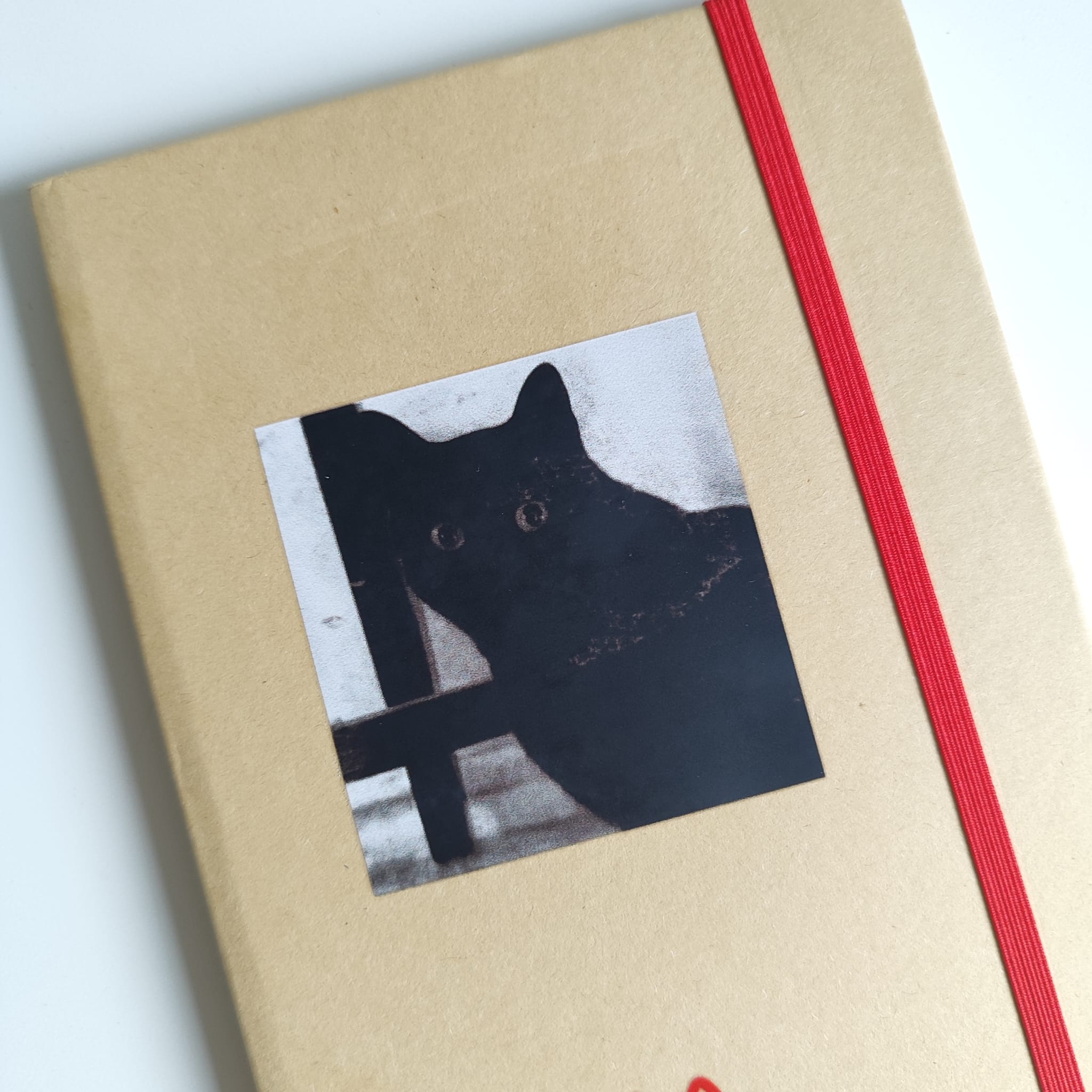 Caderno ilustração - Image 4